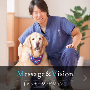 Message&Vision [メッセージ・ビジョン]